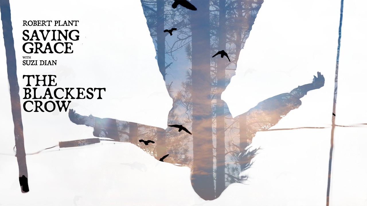Robert Plant - The Blackest Crow (Official Video) - YouTube