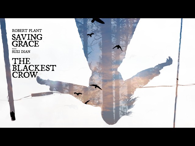 The Blackest Crow - Robert Plant