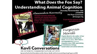 What Does the Fox Say: Understanding Animal Cognition | Kavli Conversation - Nov 10, 2016