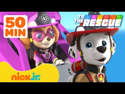 PAW Patrol | PAW Patrol: Luft- & Feuerrettung! 🚁🚒 Mit Skye & Marshall | Nick Jr. Deutschland