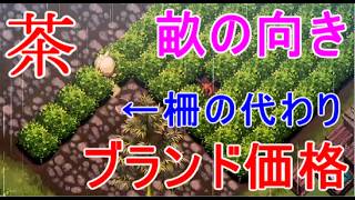 【ほの暮しの庭】お茶の畝の植える方向グダグダ調査・ブランド化の出荷額・攻略実況
