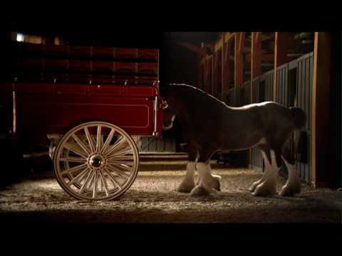 Budweiser Clydesdale Commercial - High Definition