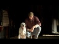 Budweiser Clydesdale Commercial High Definition