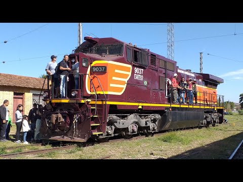 Trem celulose com locomotiva EFA lider !!!