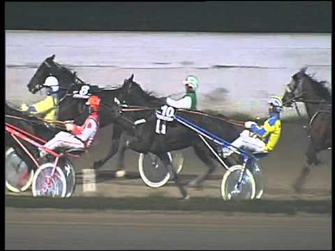 Trotto 24/12/2015 - 7° corsa