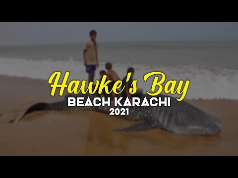 Hawke's beach 2021 | Abdul Majeed