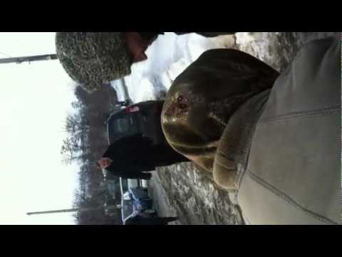 CIOACA BERCARU DIN BOHOTIN HUIDUIT DE ENORIASI