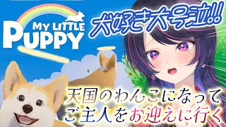 【自宅配信】愛犬家の女社長が大号泣！？My Little Puppy【#新人VTuber】【千本桐サオリ】