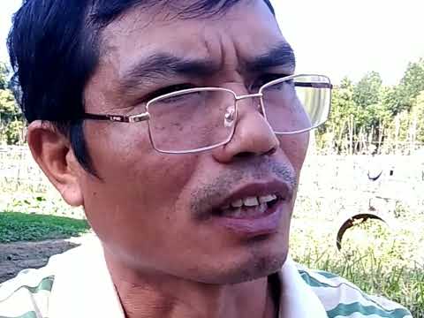 Um vislumbre da história de Tai Khamti, do norte de Mianmar (putao, Danai Maingkwan) ao nordeste da Índia.