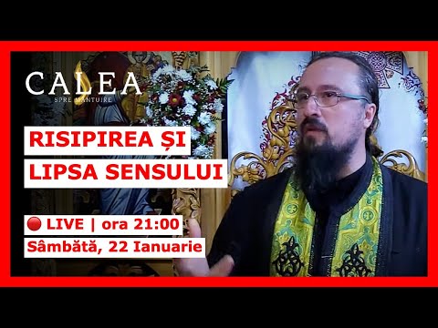 🔴 LIVE #231 - RISIPIREA VIEȚII ȘI LIPSA SENSULUI | PĂRINTELE IACHINT