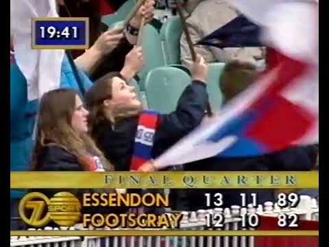 FNWB.com.au - Anthony Darcy - Round 20, 1993 vs Essendon