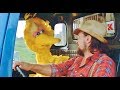 1985 Seasame Street Presents Follow That Bird Ain T No Road Too Long