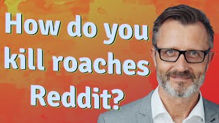 How do you kill roaches Reddit?