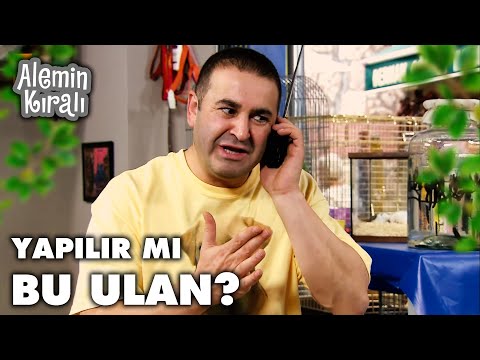 Aslan kendi evini dinliyor! - Alemin Kıralı 1. Bölüm