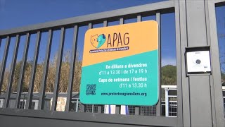 VOTV - La Protectora d'Animals acull 8 gats i 2 gossos rescatats a Corró d'Avall