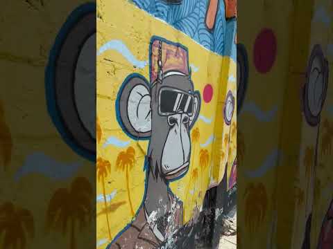 Getsemani Cartagena de indias #graffiti How many monkeys can you spot in the video?