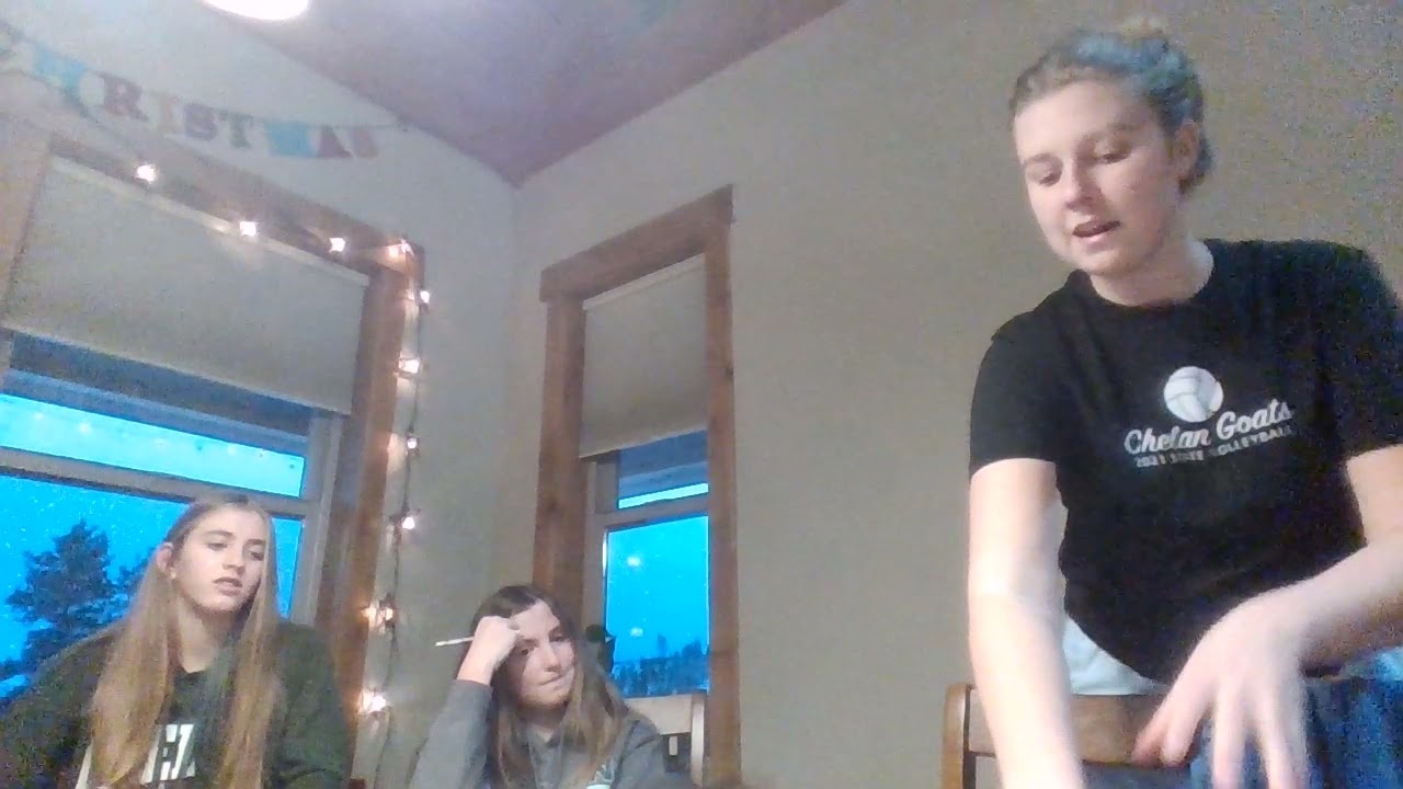 Video #3 Final Lesson Plan Artifact