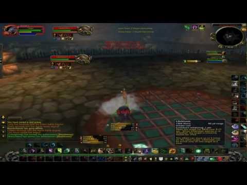 1v2 Feral Druid Arenas