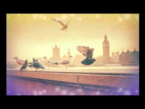 Pinkster Koortkies-Te Laat