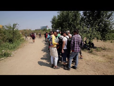 Világhíradó extra - 2017.08.21.