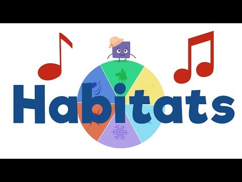 Habitats and Animal Body Parts Song