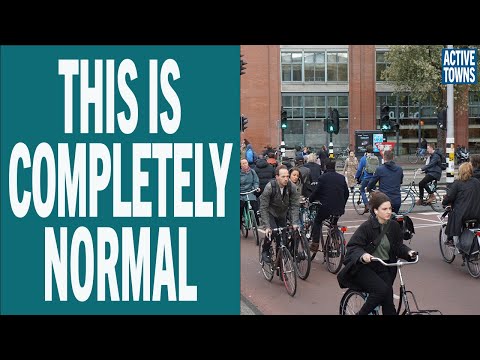 Final Reaction Video: Amsterdam Explorations