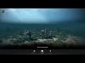 Науки: Исследование I в Black Desert: Получаем Все Знания Раздела