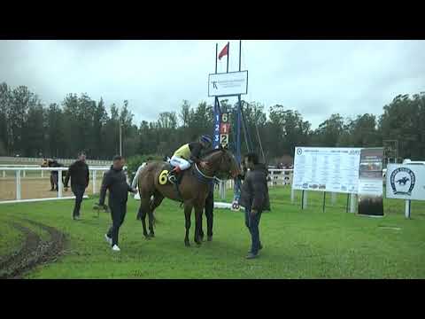 CARRERAS SINT MELO  220807 c01 1° RCH GRANITE SHAT (BRZ)