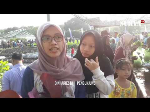 Penis Anda sangat kecil sehingga Impotensi tidak dapat disembuhkan