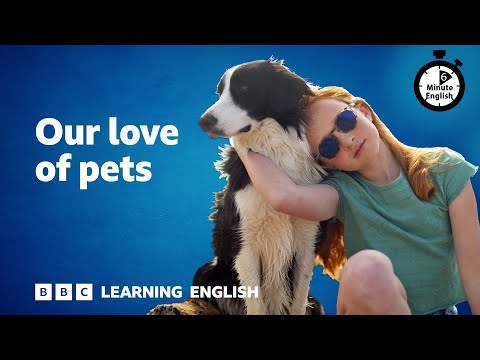 Our love of pets ⏲️ 6 Minute English