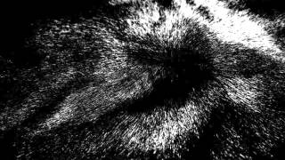 Goodnight Nurse - Jesse [Lyrics]