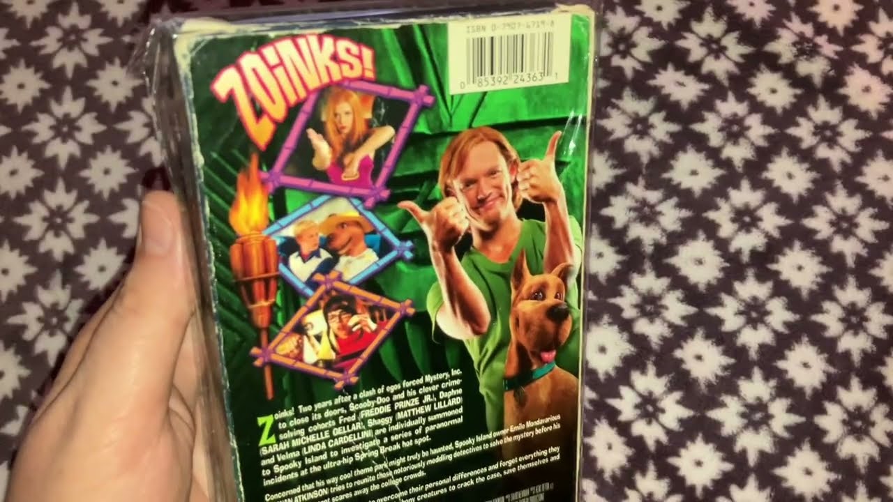 VHS Haul & More⛓️ Most Recent Pick Ups #3