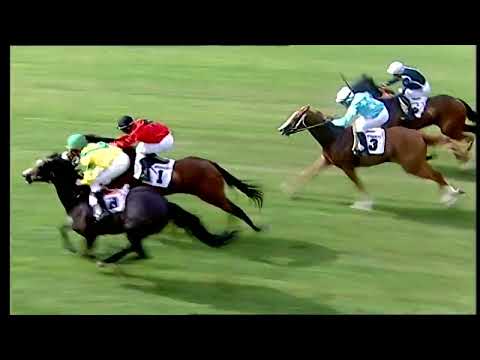 Napoli Galoppo 24/06/2022 - 1ª corsa