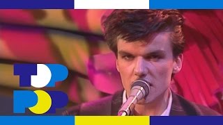 The Blow Monkeys Chords