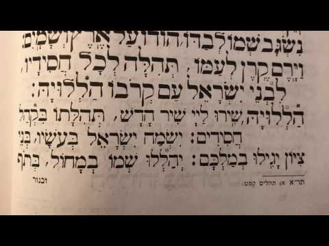Tefilah 12 Halleluka, Shiru La'Hashem- Prayer - Sharchris - תפילה 12 הללו׳ שירו לה׳ – שחרית