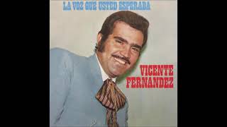 COPA ROTA - VICENTE FERNANDEZ (CON LETRA)