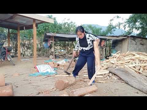 poj niam lub zog 29/12/2021