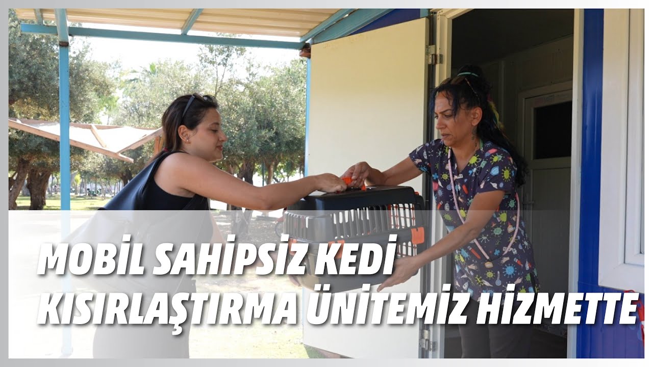 MOBİL SAHİPSİZ KEDİ KISIRLAŞTIRMA ÜNİTEMİZ HİZMETTE