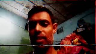 পারার ঝুলন পূর্ণিমায় খুব