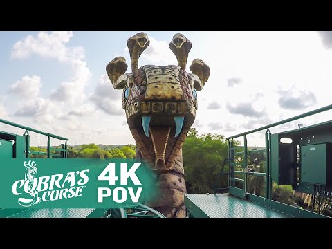 On-ride point of view of Cobra's Curse