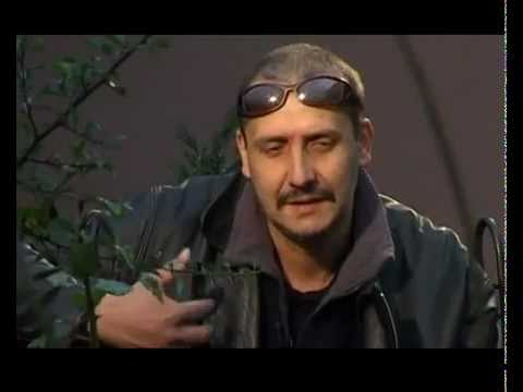 Mała lekcja historii o Staszowie