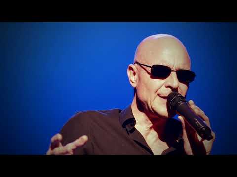 die feisten - Enten haben keine Ohren