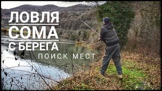 Ссылка