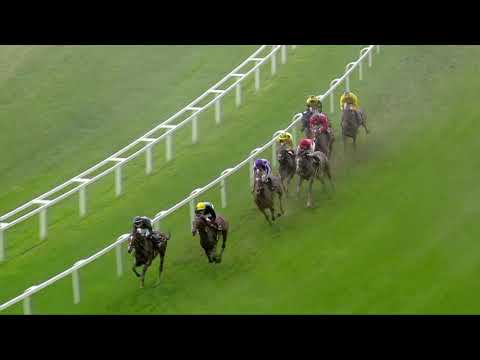 Crystal Ocean - Prince Of Wales's Stakes (Gr.1)