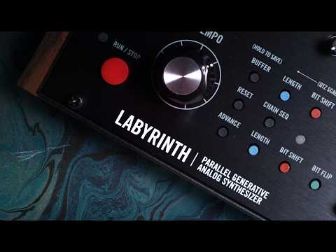 Moog Labyrinth - First Jam, Analog Hypnotic Techno 😵‍💫