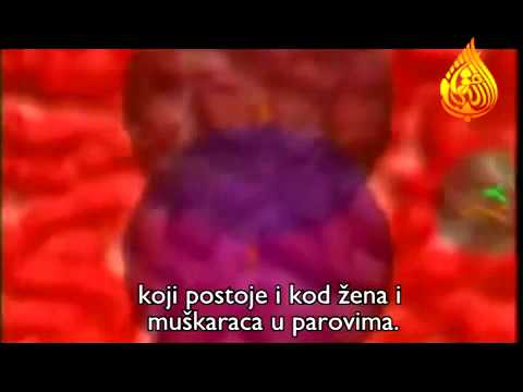 Kur`an naučno čudo!Pol bebe