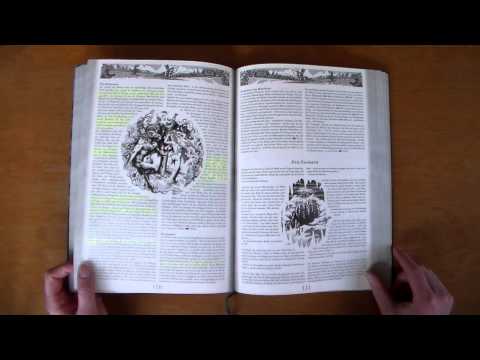 DSA Durchgeblättert Folge 29 - Land des schwarzen Bären