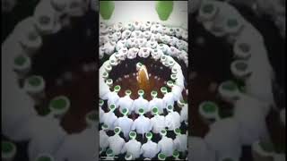 Download lagu NUMBER OF WORLDWIDE SURREGIES AND MU'TABAROH SURREGIES IN INDONESIA mp3