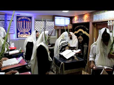 תפילה עם כוונות הלולב תשע