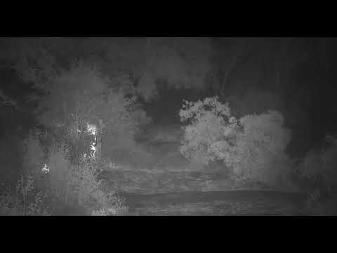 Djuma: Intense wind and dust storm takes place - 18:39 - 07/24/19